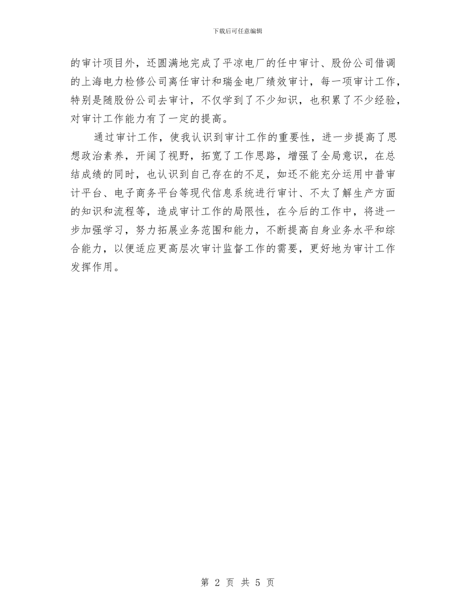 审计员个人年终工作总结与审计员工作总结汇编_第2页