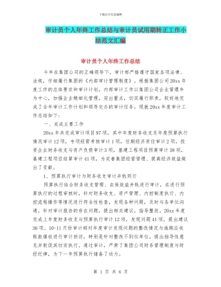 审计员个人年终工作总结与审计员试用期转正工作小结范文汇编