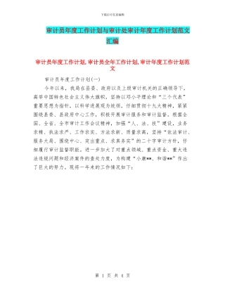 审计员年度工作计划与审计处审计年度工作计划范文汇编