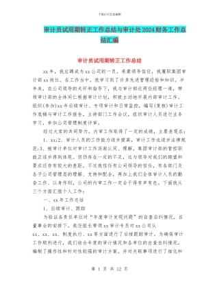 审计员试用期转正工作总结与审计处2024财务工作总结汇编
