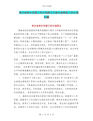 审计处审计年度工作计划范文与审计处财务工作计划汇编