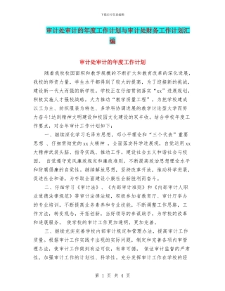审计处审计的年度工作计划与审计处财务工作计划汇编