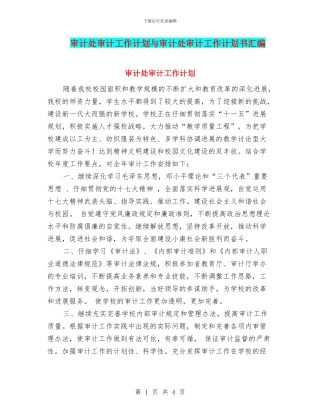审计处审计工作计划与审计处审计工作计划书汇编