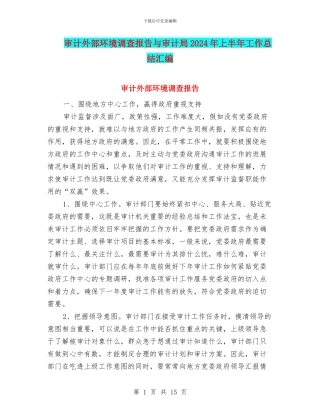 审计外部环境调查报告与审计局2024年上半年工作总结汇编