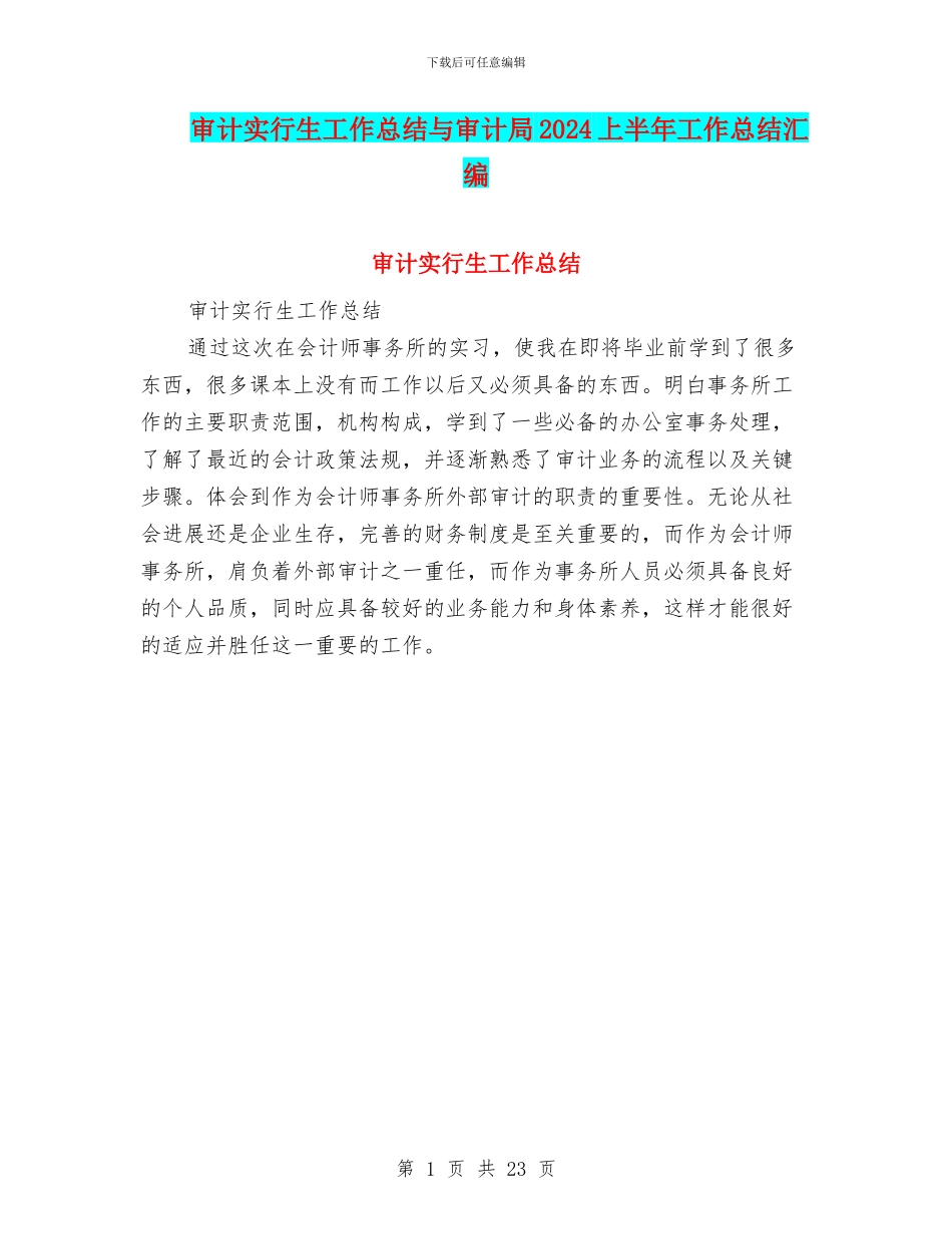 审计实行生工作总结与审计局2024上半年工作总结汇编_第1页