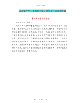 审计实行生工作总结与审计室年度工作总结汇编