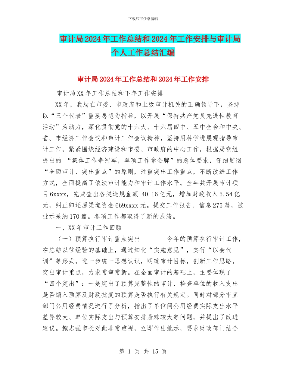 审计局2024年工作总结和2024年工作安排与审计局个人工作总结汇编_第1页