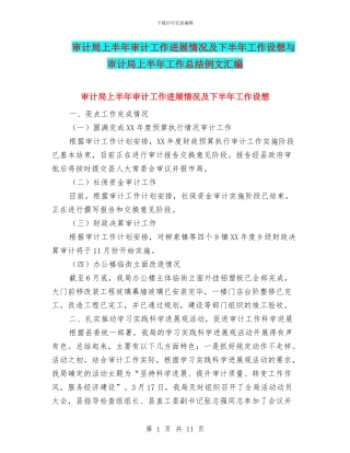 审计局上半年审计工作进展情况及下半年工作设想与审计局上半年工作总结例文汇编