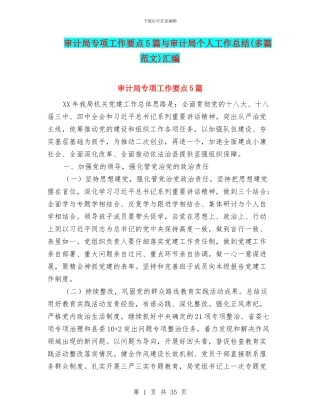 审计局专项工作要点5篇与审计局个人工作总结汇编