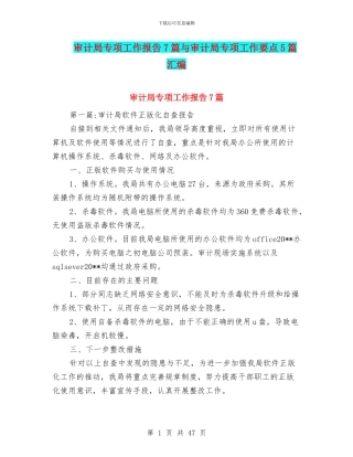 审计局专项工作报告7篇与审计局专项工作要点5篇汇编