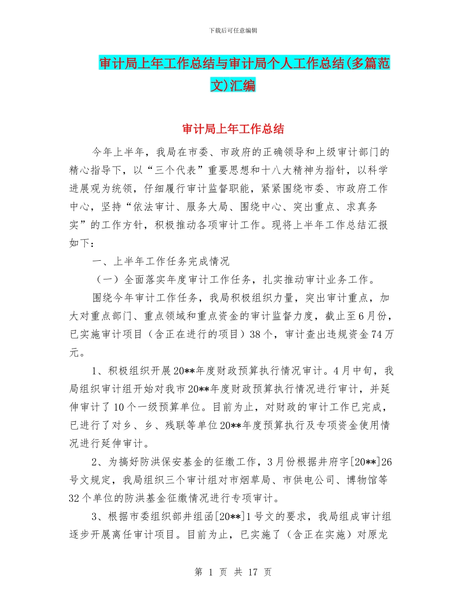 审计局上年工作总结与审计局个人工作总结汇编_第1页