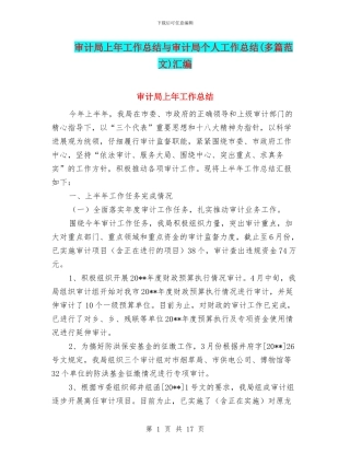 审计局上年工作总结与审计局个人工作总结汇编