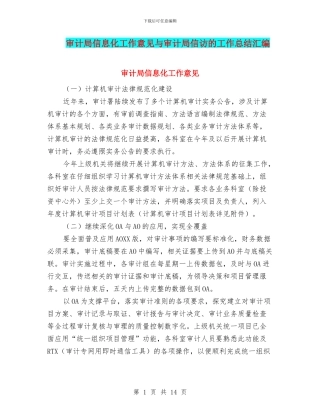 审计局信息化工作意见与审计局信访的工作总结汇编