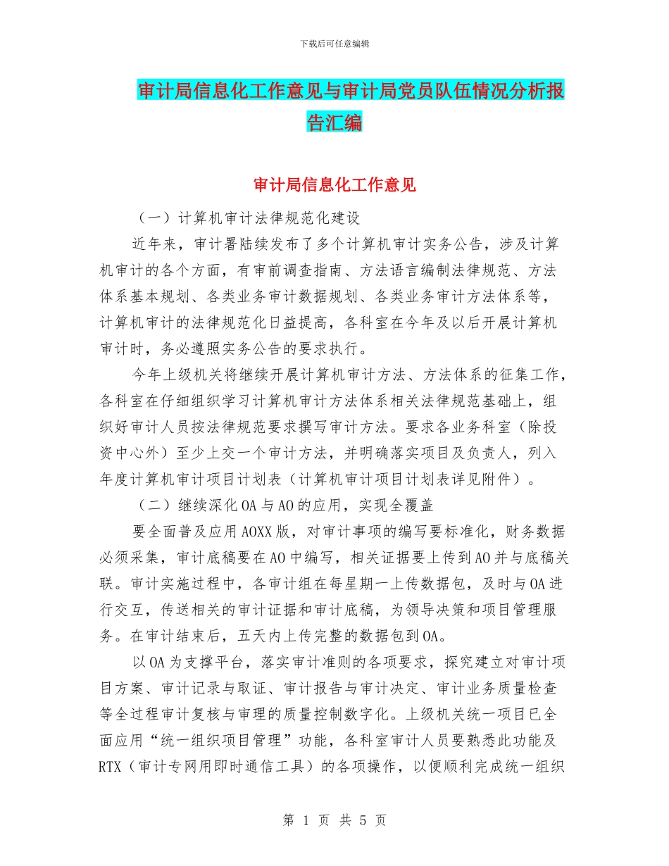 审计局信息化工作意见与审计局党员队伍情况分析报告汇编_第1页
