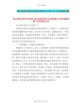 审计局党支部工作总结与审计工作个人工作总结汇编