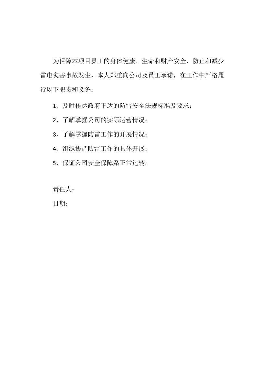 防雷安全责任书_第1页