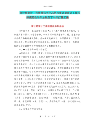 审计局审计工作效益化半年总结与审计局审计工作规范性半年总结及下半年打算汇编