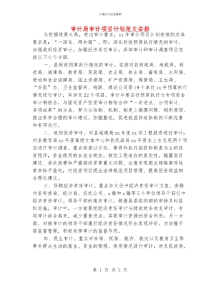 审计局审计项目计划范文安排