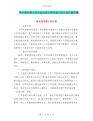 审计局年度工作计划与审计局年度工作计划打算汇编