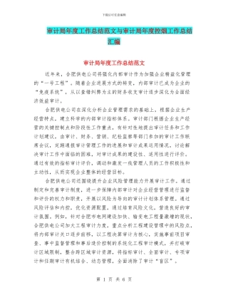 审计局年度工作总结范文与审计局年度控烟工作总结汇编