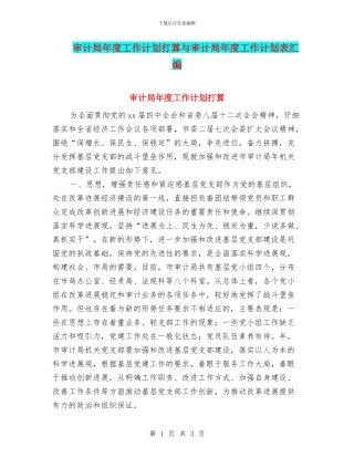 审计局年度工作计划打算与审计局年度工作计划表汇编