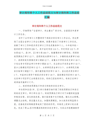 审计局年终个人工作总结范文与审计局年终工作总结汇编