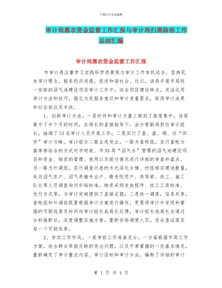 审计局惠农资金监督工作汇报与审计局扫黑除恶工作总结汇编