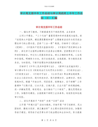 审计局支部半年工作总结与审计局政府上半年工作总结(区)汇编
