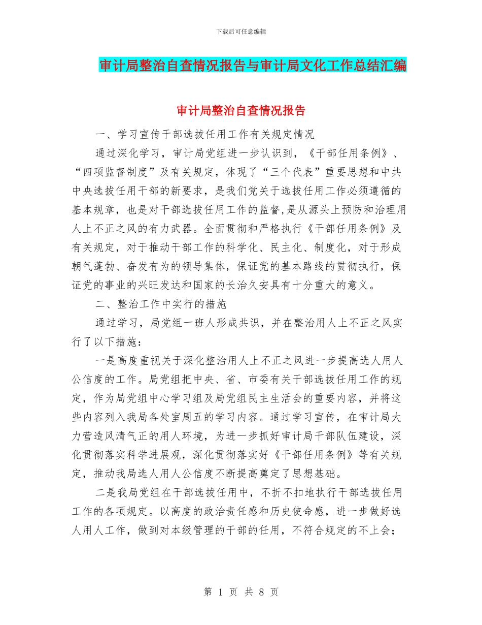审计局整治自查情况报告与审计局文化工作总结汇编_第1页