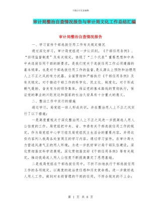 审计局整治自查情况报告与审计局文化工作总结汇编