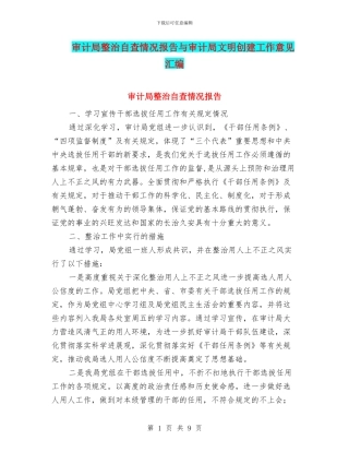 审计局整治自查情况报告与审计局文明创建工作意见汇编