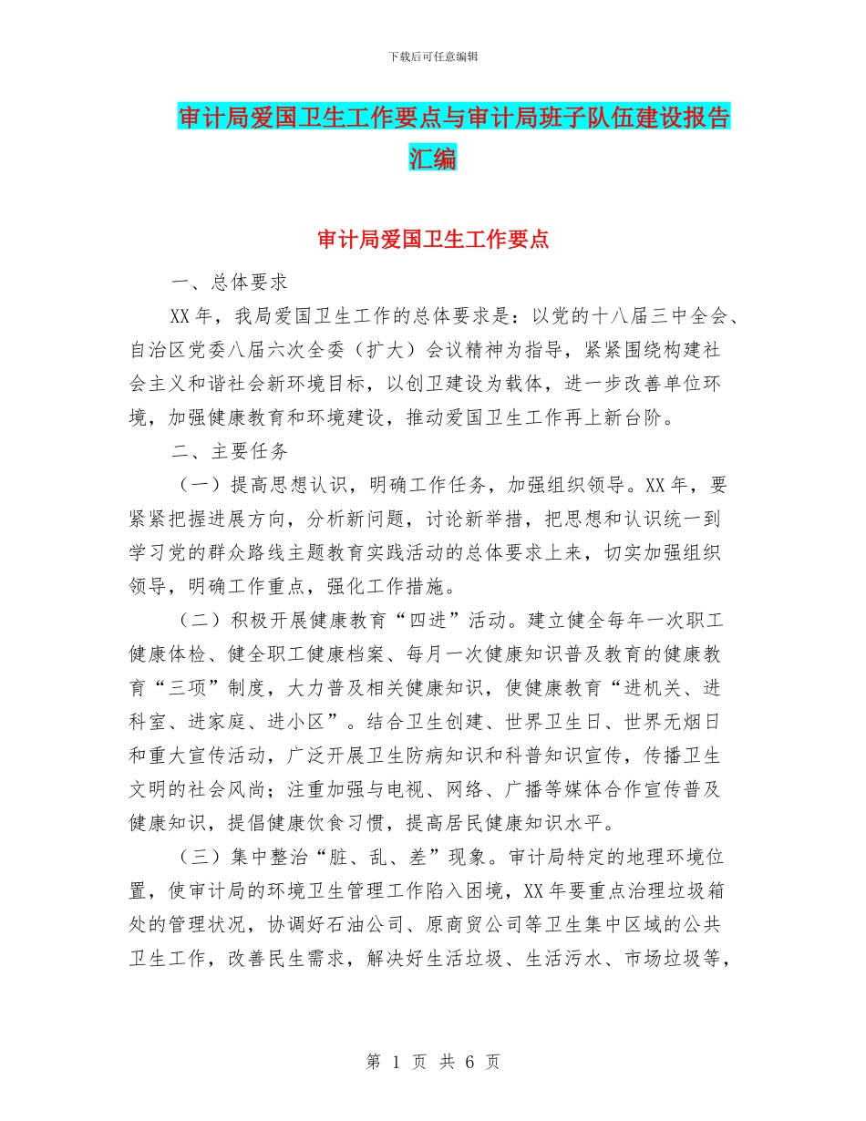 审计局爱国卫生工作要点与审计局班子队伍建设报告汇编_第1页