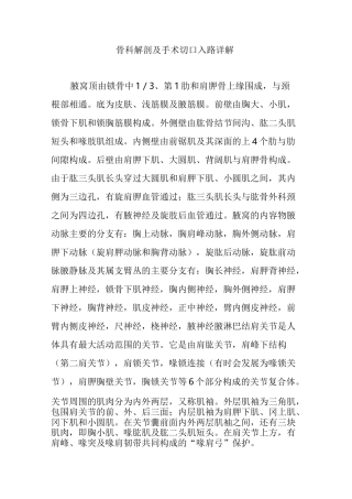 骨科解剖及手术切口入路详解
