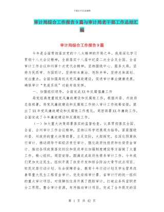 审计局综合工作报告9篇与审计局老干部工作总结汇编