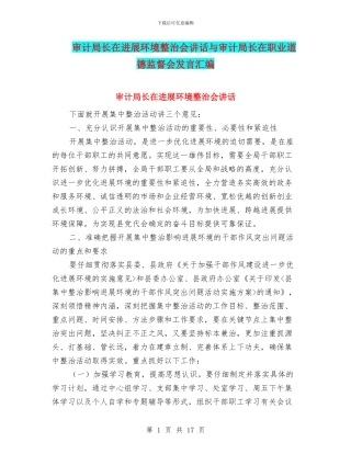 审计局长在发展环境整治会讲话与审计局长在职业道德监督会发言汇编
