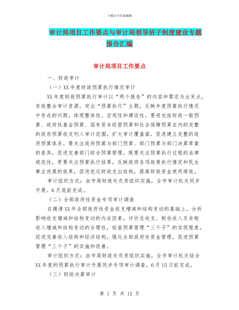 审计局项目工作要点与审计局领导班子制度建设专题报告汇编_第1页