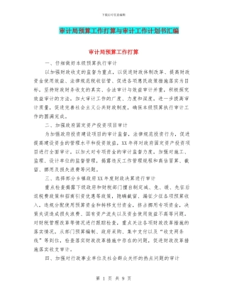 审计局预算工作打算与审计工作计划书汇编