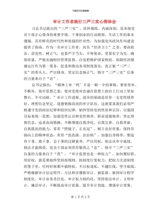 审计工作者践行三严三实心得体会