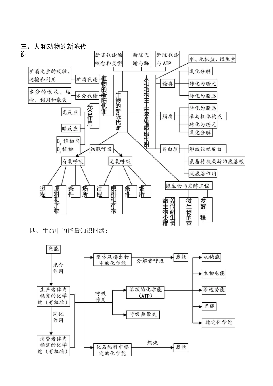 最新-高中生物知识体系框架图 精品_第3页