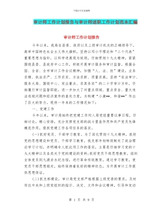 审计师工作计划报告与审计师述职工作计划范本汇编