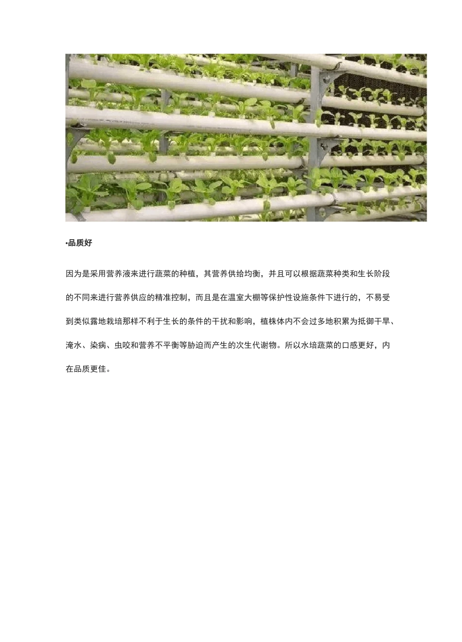 水培蔬菜水培技术_第2页