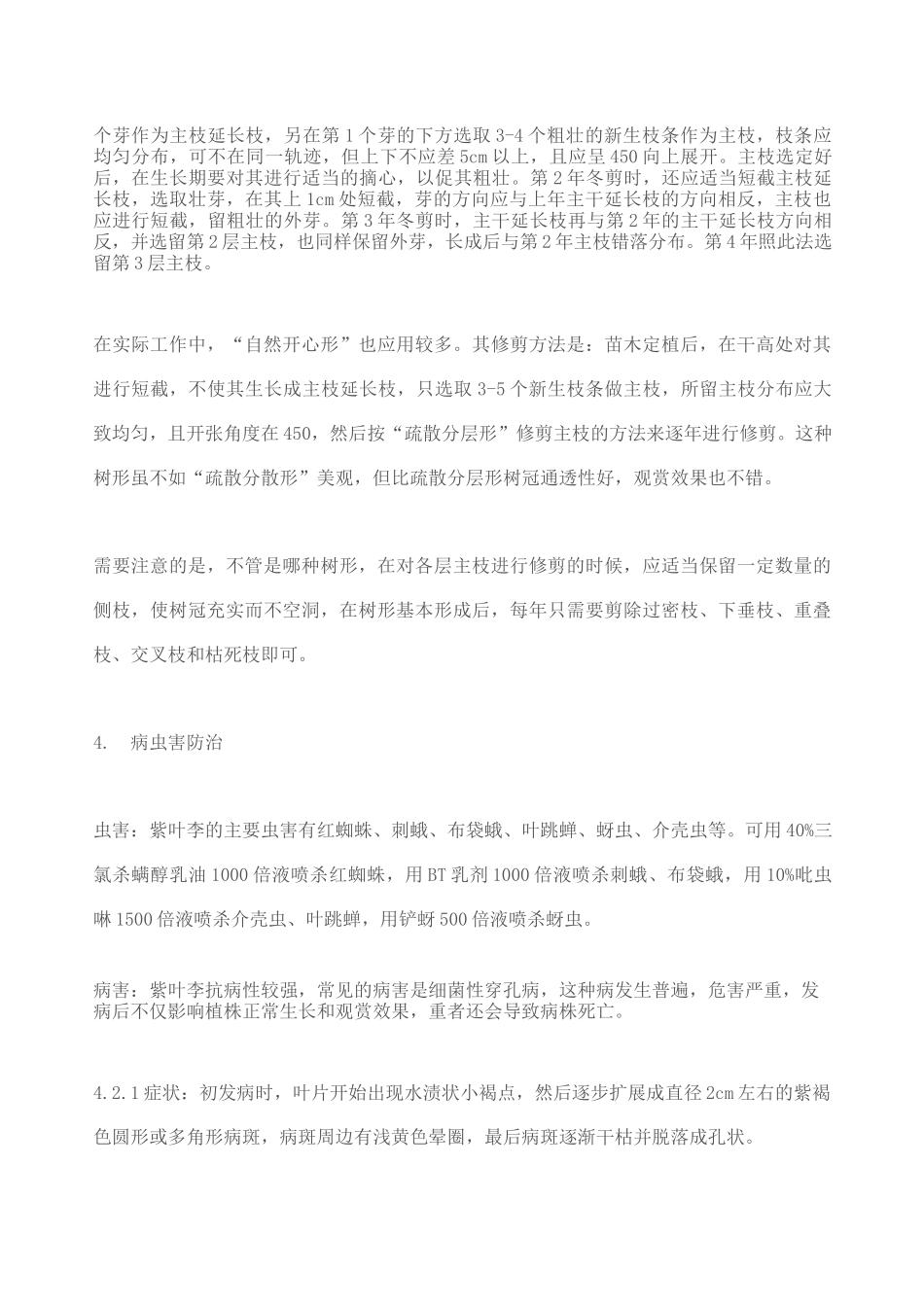 紫叶李的栽培养护技术_第3页