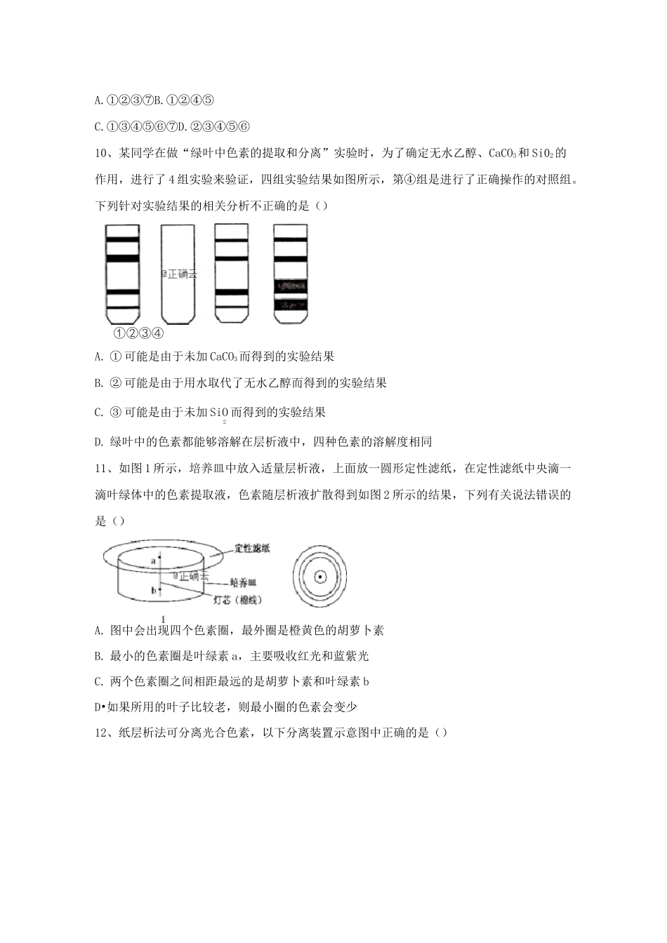 人教版高中生物必修1实验题专练-绿叶中色素的提取和分离_第3页
