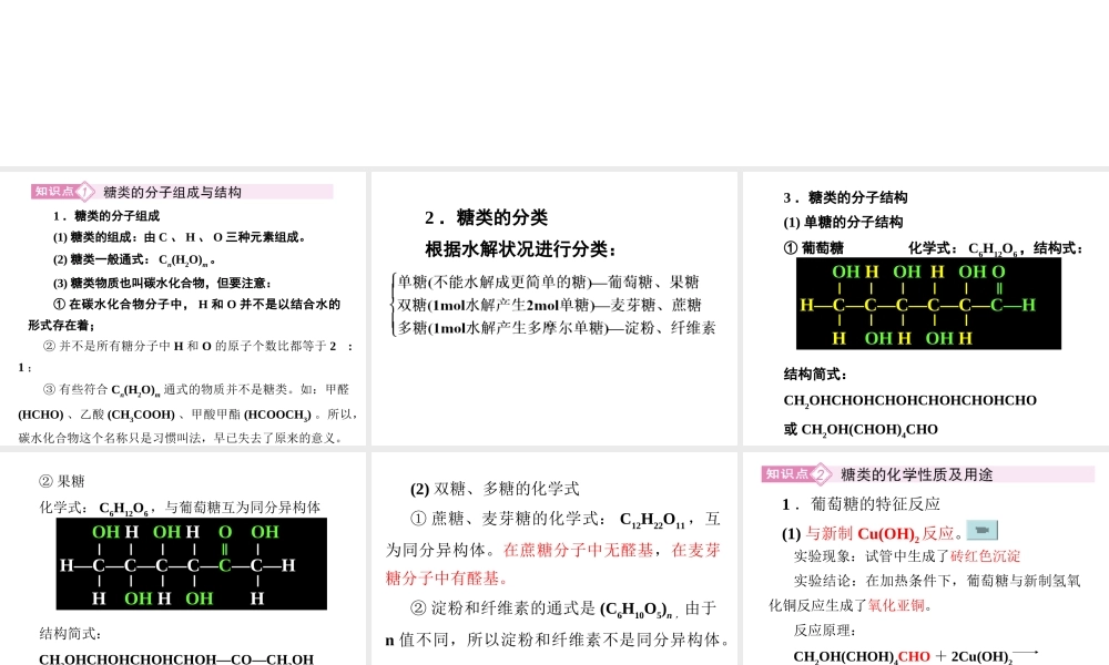 3-4-1糖类