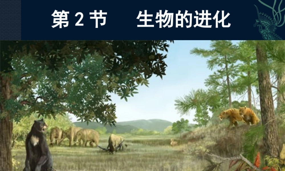 第2节生物的进化