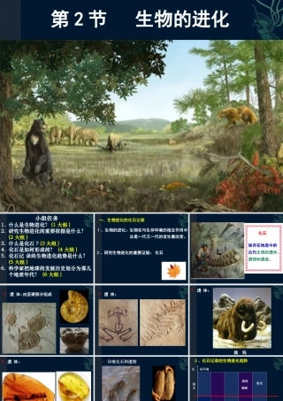 第2节生物的进化