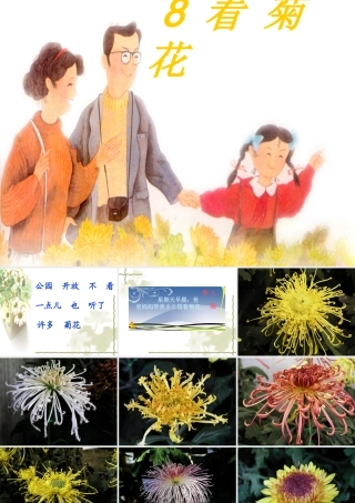 《看菊花》00陈雯