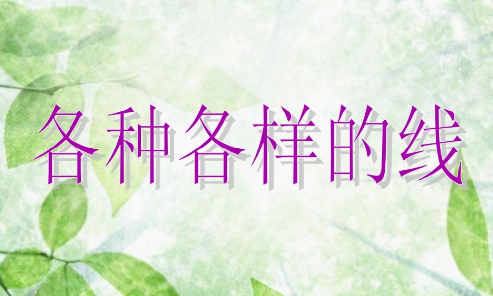 《各种各样的线》课件
