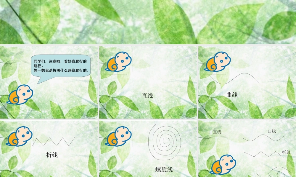 《各种各样的线》课件