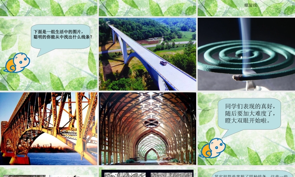 《各种各样的线》课件